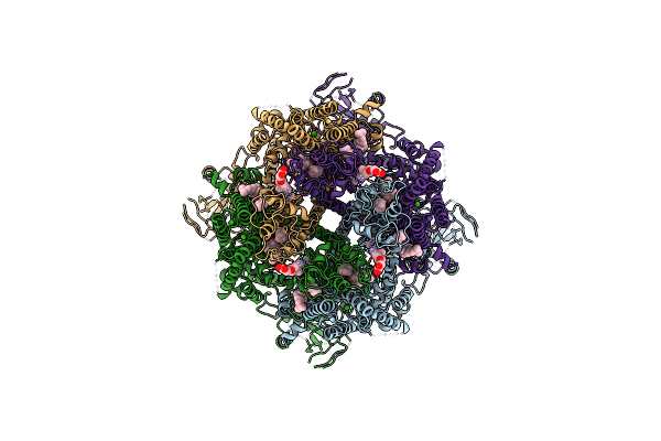 9B6I image