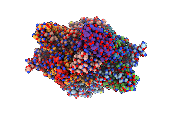 9B6T image