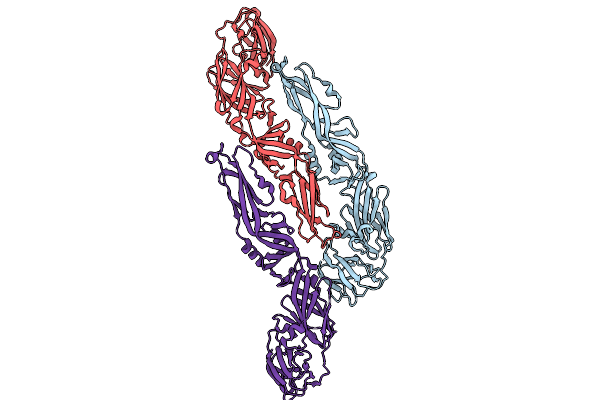 9B6V image