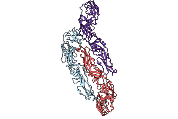 9B6X image