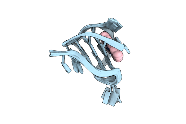 9B6Z image