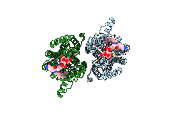 9B70 image