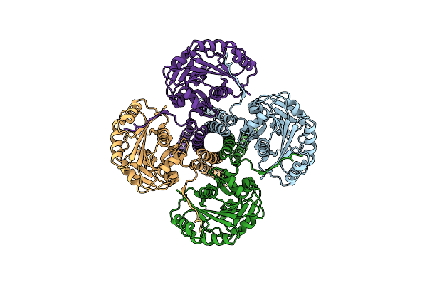 9B77 image