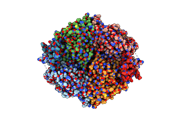 9B7T image