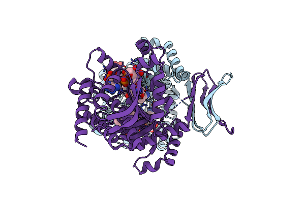 9B81 image