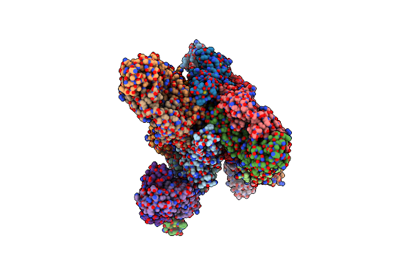 9B82 image