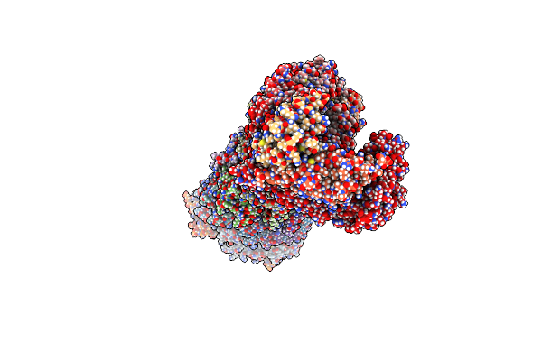 9B85 image