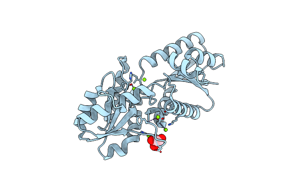 9B86 image