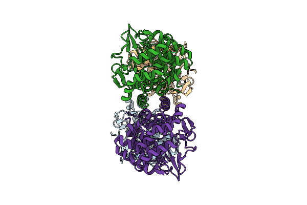 9B87 image