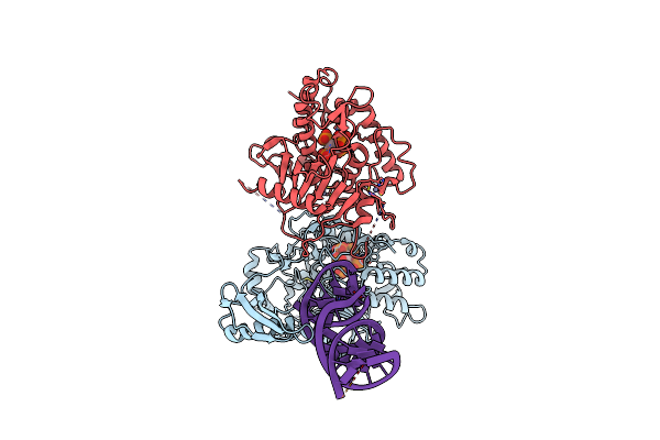 9B89 image