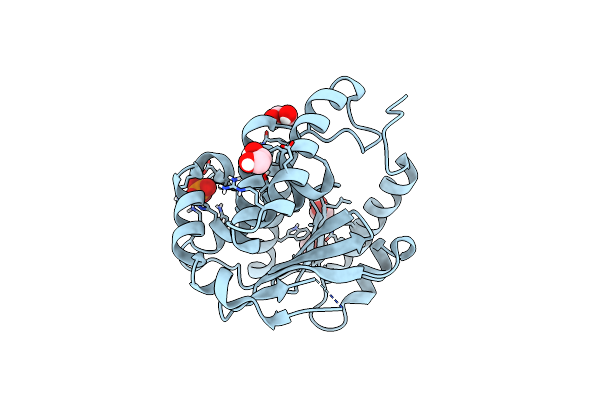 9B8D image