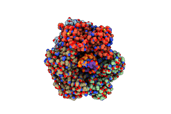 9B8T image