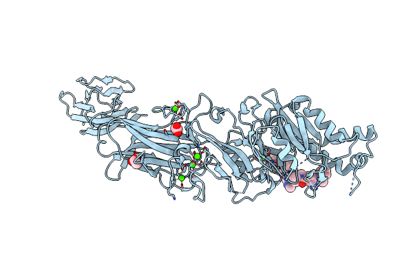 9B98 image