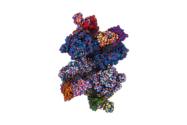 9B9G image