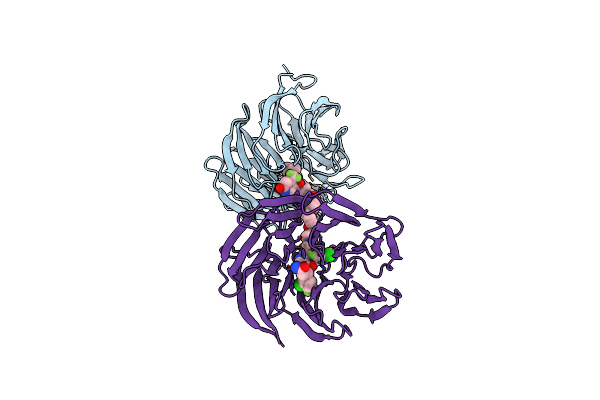 9B9H image