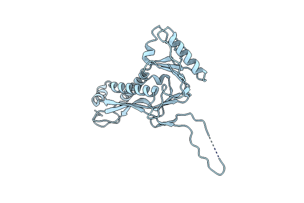9B9I image