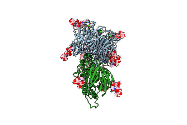9B9J image