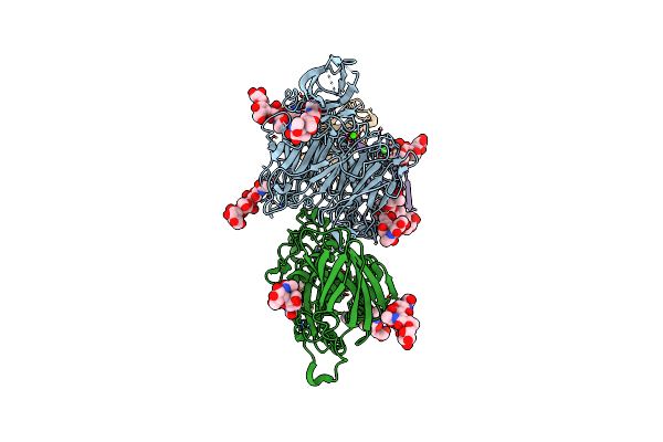 9B9K image