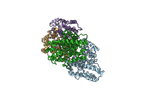 9B9M image