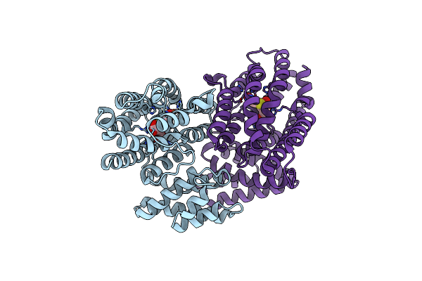 9B9N image