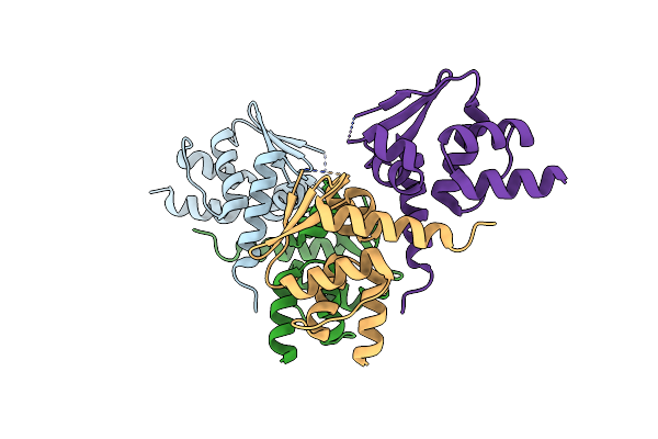 9B9R image