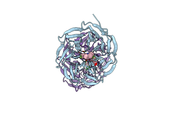 9B9T image