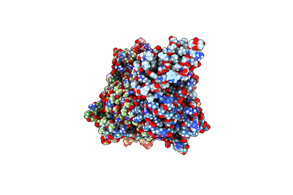 9B9V image