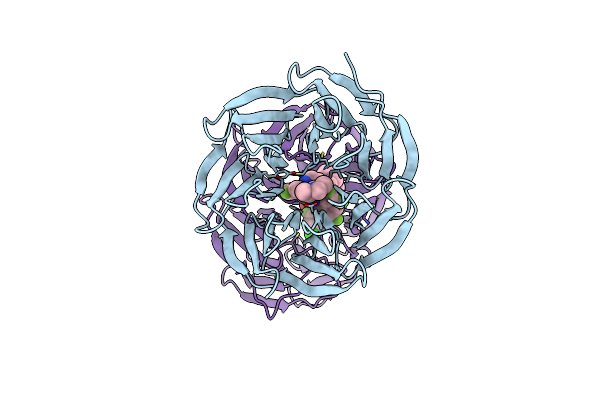 9B9W image