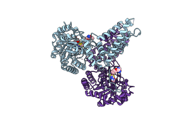9BA8 image