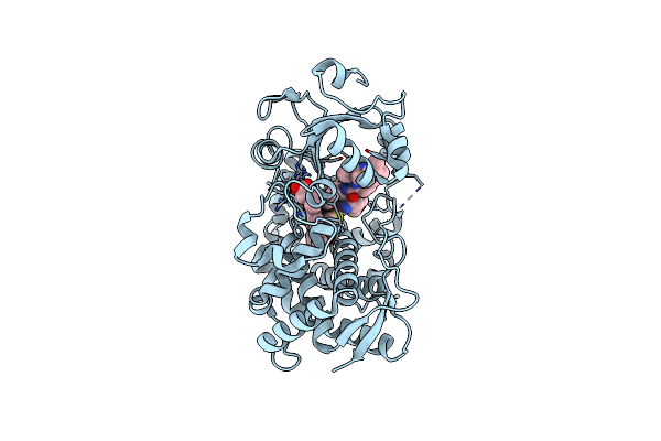 9BBB image