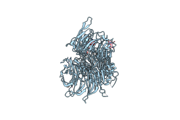 9BBE image