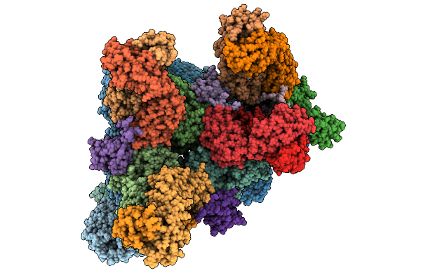 9BBN image