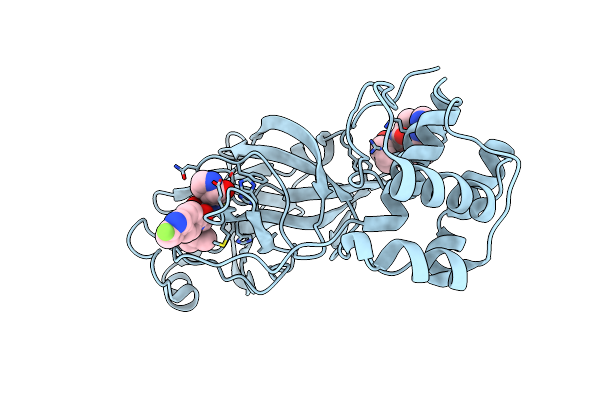 9BBP image