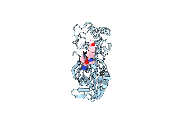 9BBS image