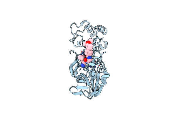 9BBT image