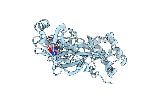 9BBV image