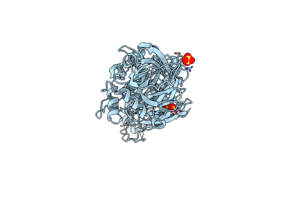 9BC2 image