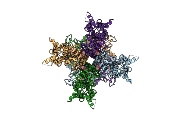 9BC6 image