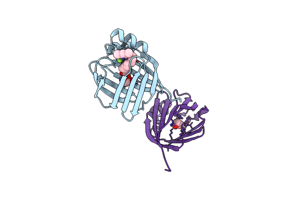 9BCB image