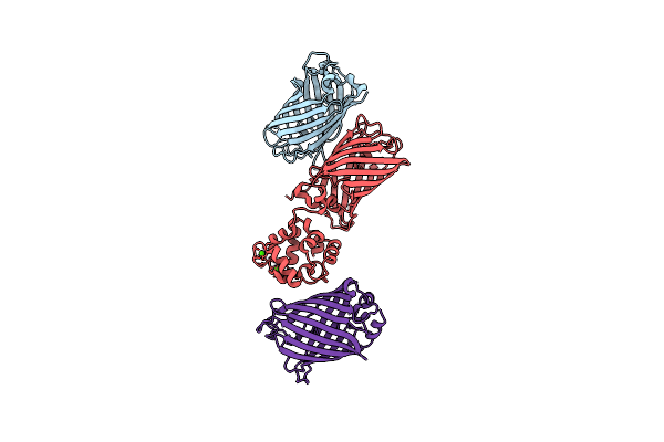 9BCF image