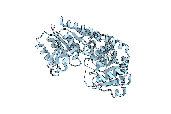9BCM image