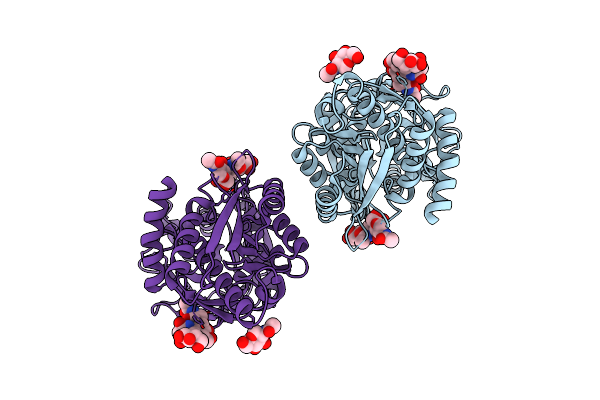 9BCN image