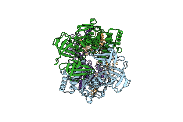 9BCR image