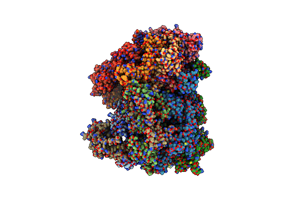 9BCX image