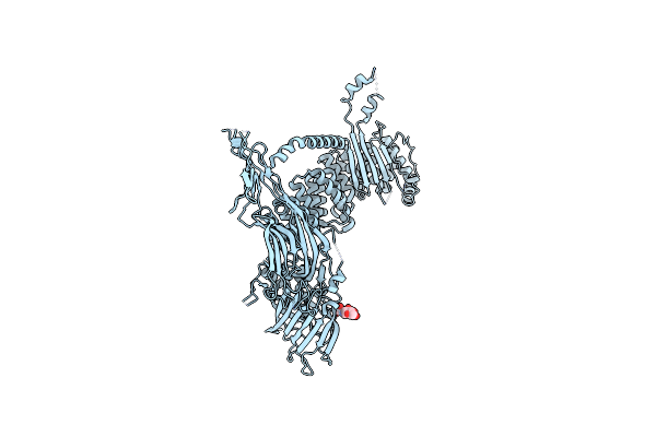 9BD1 image