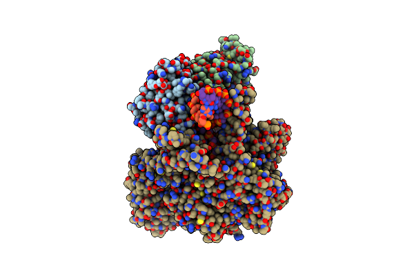 9BDC image