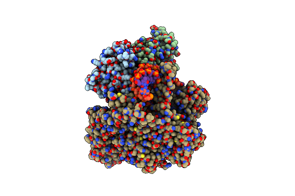9BDD image