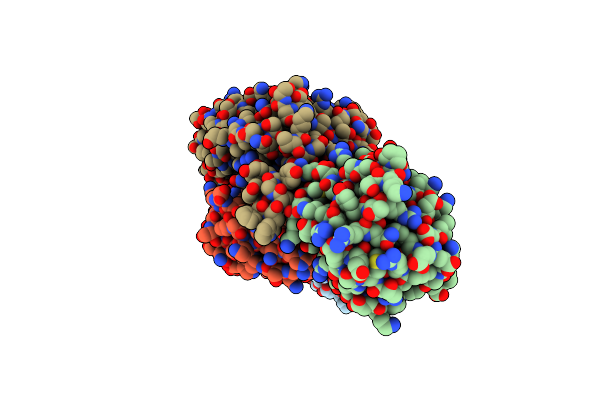 9BDI image