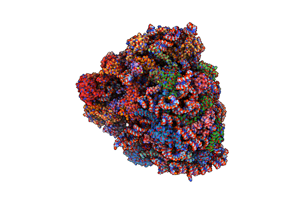 9BDL image