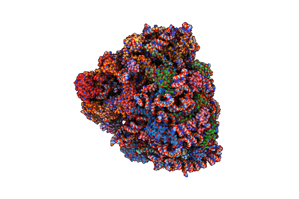 9BDN image